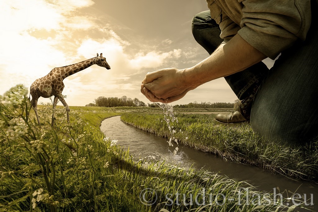 La giraffe photo manipulation de Wttrwulghe Xavier