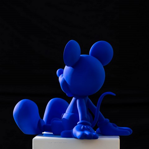 Mickey Blue Mat de Wttrwulghe Xavier